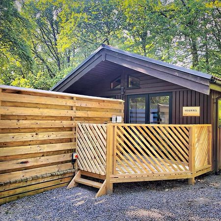 The Squirrel Lodge - Hot Tub - Pet Friendly - Pembrokeshire-Tenby Carmarthen Luaran gambar